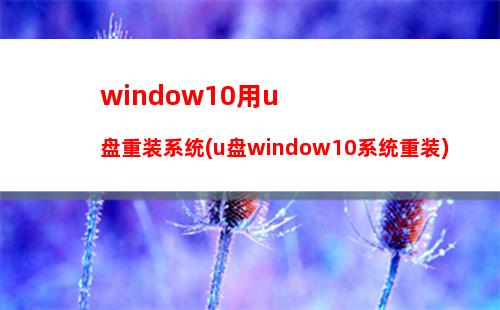 window10用u盘重装系统(u盘window10系统重装)