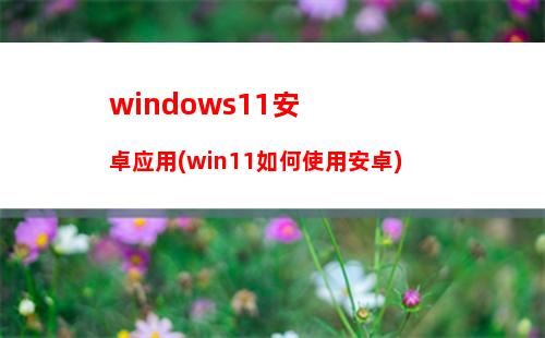 windows11安卓应用(win11如何使用安卓)