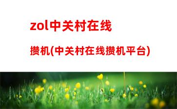 zol中关村在线攒机(中关村在线攒机平台)