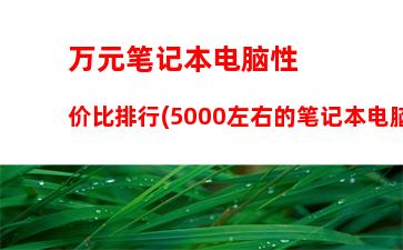 全球笔记本电脑出货量排名(2020年全球笔记本电脑出货量)