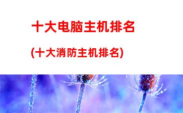 华硕a豆14s笔记本怎么样(华硕a豆14笔记本怎么样)