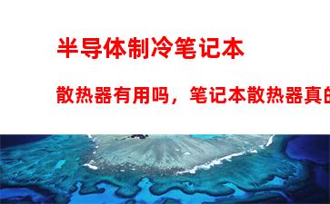 为什么不建议买神舟：为什么不建议植发