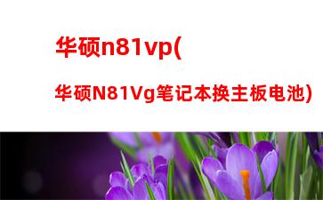 华硕n81vp(华硕N81Vg笔记本换主板电池)