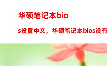 华硕笔记本bios设置中文，华硕笔记本bios没有中文设置