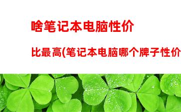 啥笔记本电脑性价比最高(笔记本电脑哪个牌子性价比最高)