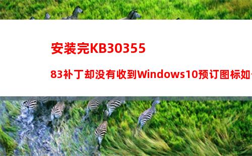 安装完KB3035583补丁却没有收到Windows10预订图标如何解决？