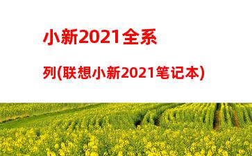 小新2021全系列(联想小新2021笔记本)