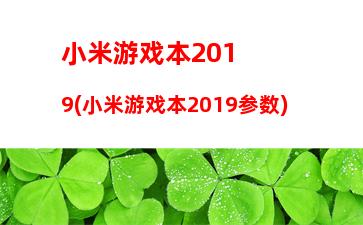 小米游戏本2019(小米游戏本2019参数)