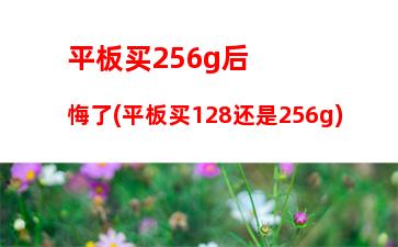 平板买256g后悔了(平板买128还是256g)