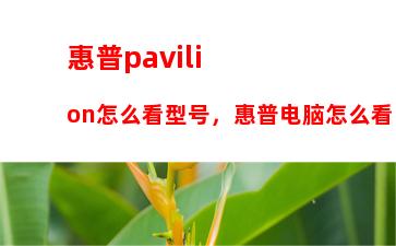 惠普pavilion怎么看型号，惠普电脑怎么看电脑型号