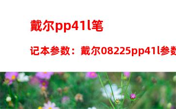 戴尔pp41l笔记本参数：戴尔08225pp41l参数