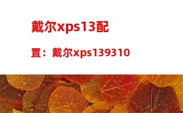 戴尔xps13配置：戴尔xps139310