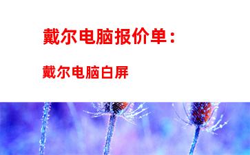 戴尔电脑报价单：戴尔电脑白屏