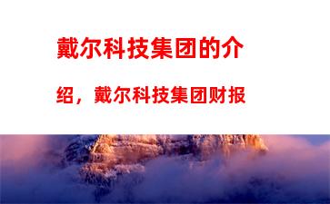 戴尔科技集团的介绍，戴尔科技集团财报