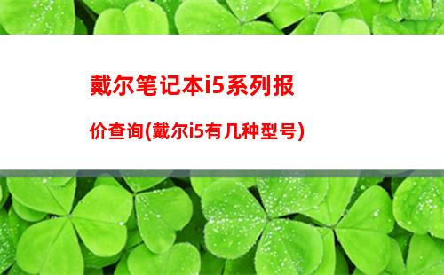 戴尔笔记本2019机型(戴尔笔记本2019年的新品有哪些)