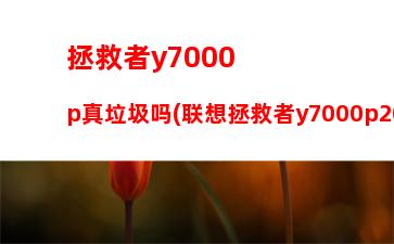 拯救者y7000p真垃圾吗(联想拯救者y7000p2023款)