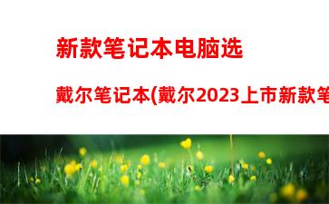 新款笔记本电脑选戴尔笔记本(戴尔2023上市新款笔记本电脑)