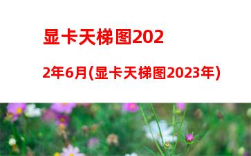 显卡天梯图2022年6月(显卡天梯图2023年)