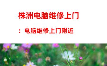 株洲电脑维修上门：电脑维修上门附近