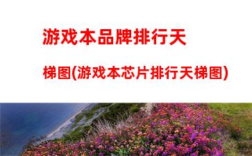 游戏本品牌排行天梯图(游戏本芯片排行天梯图)