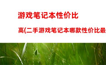 游戏笔记本性价比高(二手游戏笔记本哪款性价比最高)