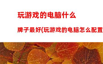 玩游戏的电脑什么牌子最好(玩游戏的电脑怎么配置)