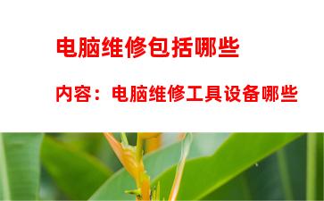 电脑维修包括哪些内容：电脑维修工具设备哪些