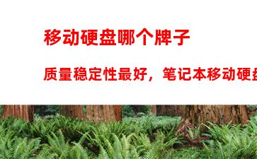 移动硬盘哪个牌子质量稳定性最好，笔记本移动硬盘哪个牌子的质量好