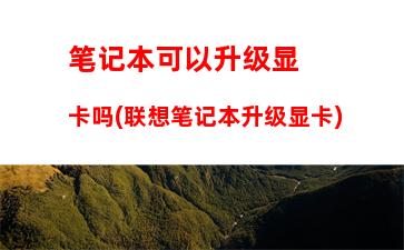 笔记本电脑是集成显卡的还是独立显卡的(笔记本电脑集成显卡好吗)