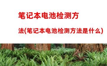 笔记本电池检测方法(笔记本电池检测方法是什么)