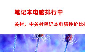 笔记本电脑排行中关村，中关村笔记本电脑性价比排行