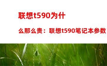 联想t590为什么那么贵：联想t590笔记本参数