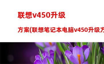 比丽台k620专业显卡(丽台专业显卡强在哪里)