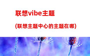 联想vibe主题(联想主题中心的主题在哪)