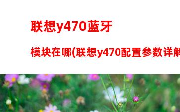 联想y470蓝牙模块在哪(联想y470配置参数详解)