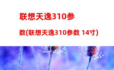 联想小新14锐龙版(联想小新14锐龙版2019)