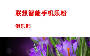 联想智能手机乐粉俱乐部