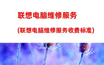 联想y450主板详解(联想y450主板电池具体位置)