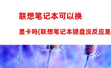 联想笔记本推荐4000左右(联想笔记本4000左右的哪款适合玩游戏)