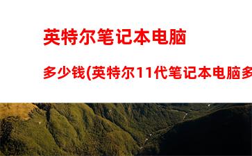 英特尔笔记本电脑多少钱(英特尔11代笔记本电脑多少钱)