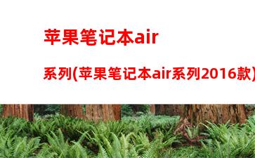 苹果笔记本air系列(苹果笔记本air系列2016款)