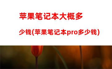 苹果笔记本大概多少钱(苹果笔记本pro多少钱)